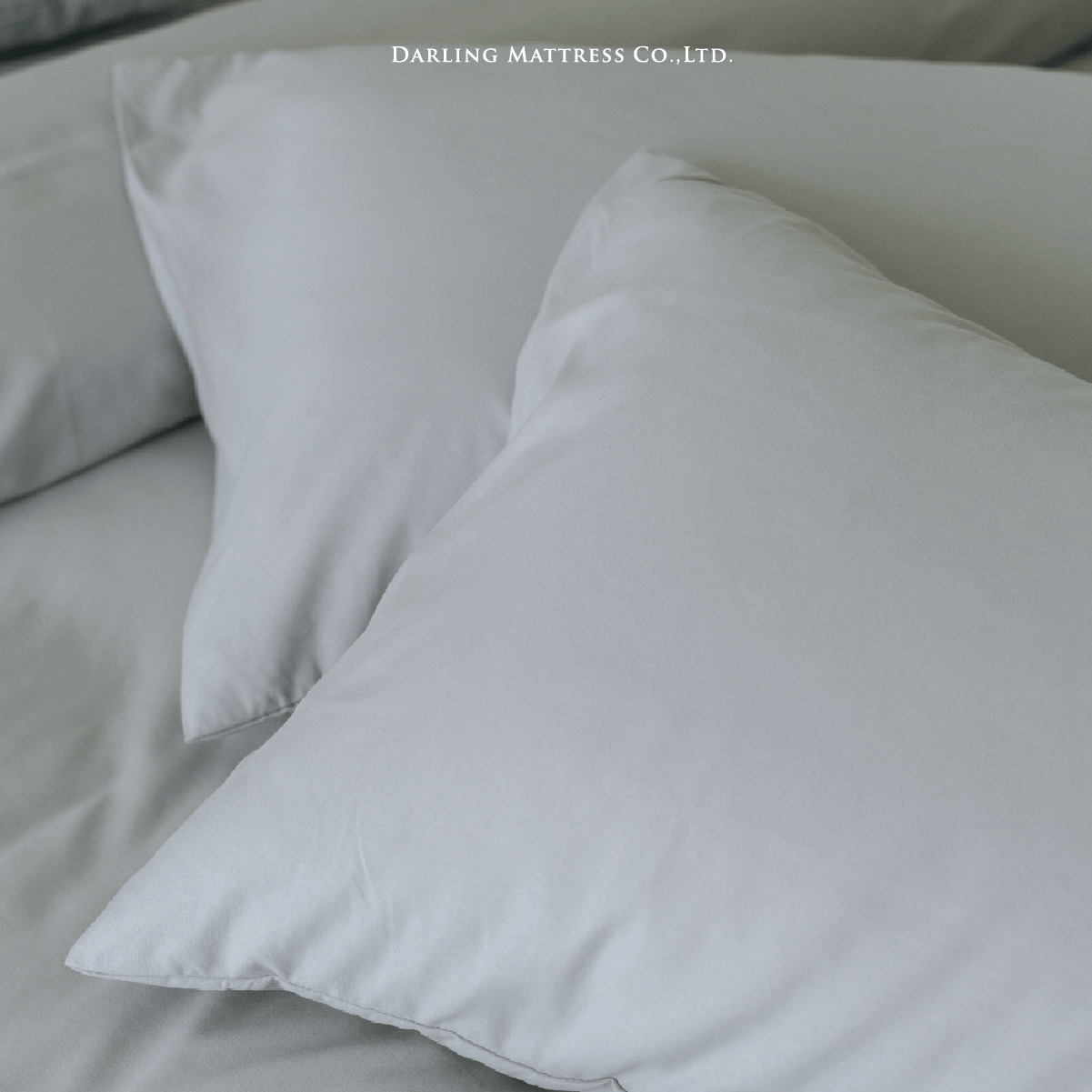 ชุดผ้าปูผ้านวม 6 ฟุต DARLING MATTRESS รุ่นสีพื้น สีเทาอ่อน_4